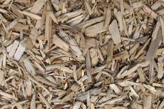 biomass boilers Braeside