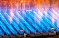 Braeside gas fired boilers